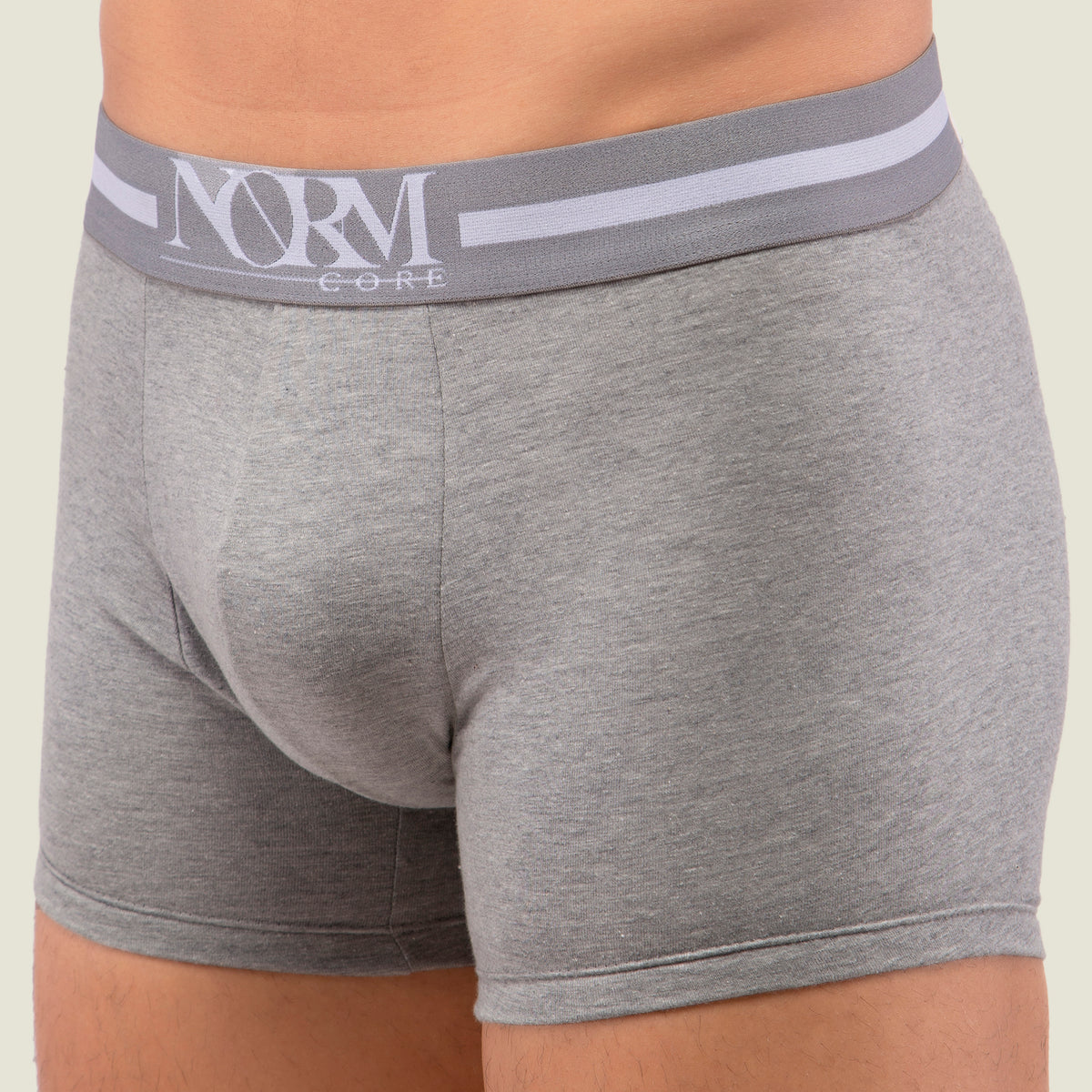Grey Trunk with Grey Waistband